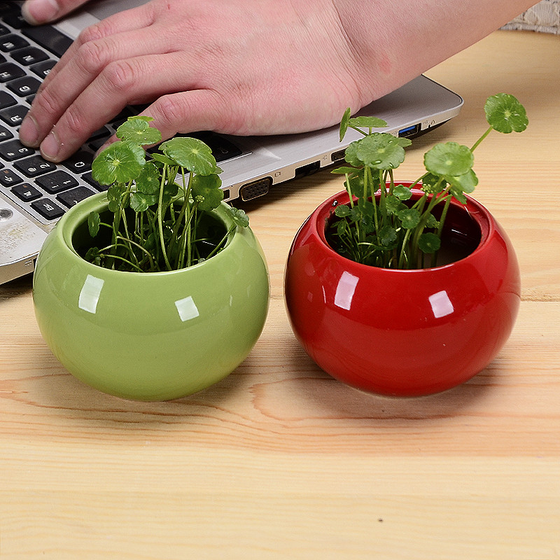 1db kerámia paradicsom hidroponikus kis virágcserép nem lyukas virágcserép zöld növény konténer asztali dekoráció