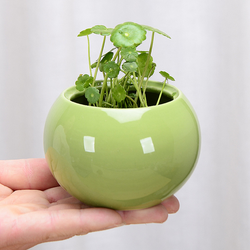 1db kerámia paradicsom hidroponikus kis virágcserép nem lyukas virágcserép zöld növény konténer asztali dekoráció