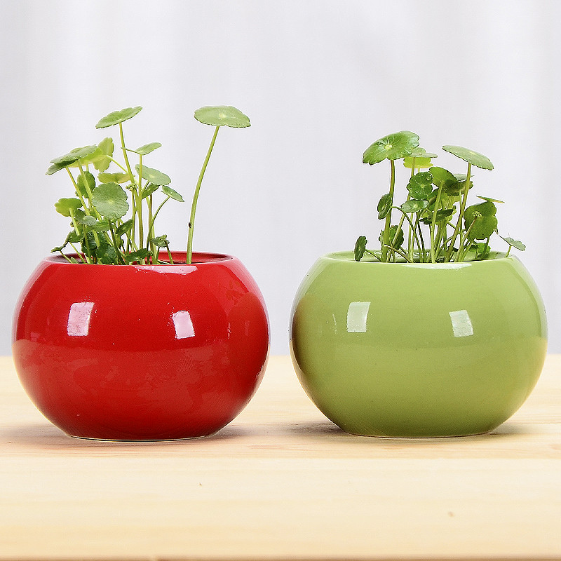 1db kerámia paradicsom hidroponikus kis virágcserép nem lyukas virágcserép zöld növény konténer asztali dekoráció