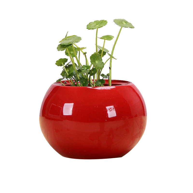 1db kerámia paradicsom hidroponikus kis virágcserép nem lyukas virágcserép zöld növény konténer asztali dekoráció