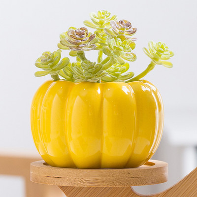 Színes hústál kerámia sütőtök kis virágcserép házi kertészkedés zöld növény jég repedés hüvelykujj mosdó nagykereskedés