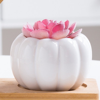 Színes hústál kerámia sütőtök kis virágcserép házi kertészkedés zöld növény jég repedés hüvelykujj mosdó nagykereskedés