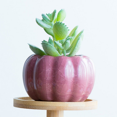 Színes hústál kerámia sütőtök kis virágcserép házi kertészkedés zöld növény jég repedés hüvelykujj mosdó nagykereskedés