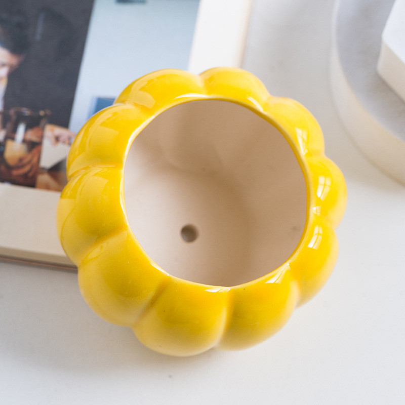 Színes hústál kerámia sütőtök kis virágcserép házi kertészkedés zöld növény jég repedés hüvelykujj mosdó nagykereskedés