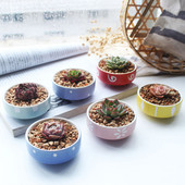 Candy Color zamatos ültetőgépek Kis aranyos kerámia kaktusz edények vízelvezető lyukkal otthoni irodai asztali kerti dekorációhoz