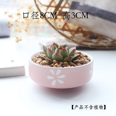 Candy Color zamatos ültetőgépek Kis aranyos kerámia kaktusz edények vízelvezető lyukkal otthoni irodai asztali kerti dekorációhoz