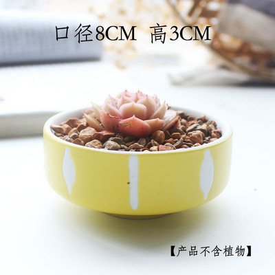 Candy Color zamatos ültetőgépek Kis aranyos kerámia kaktusz edények vízelvezető lyukkal otthoni irodai asztali kerti dekorációhoz