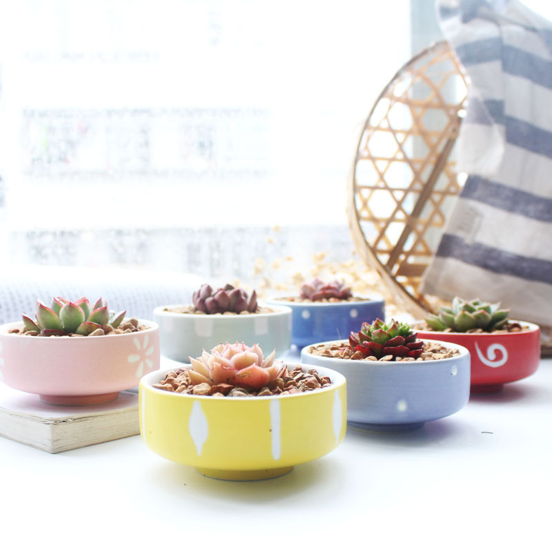 Candy Color zamatos ültetőgépek Kis aranyos kerámia kaktusz edények vízelvezető lyukkal otthoni irodai asztali kerti dekorációhoz
