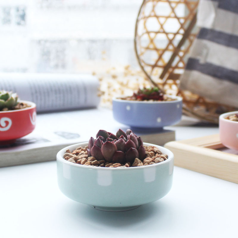 Candy Color zamatos ültetőgépek Kis aranyos kerámia kaktusz edények vízelvezető lyukkal otthoni irodai asztali kerti dekorációhoz