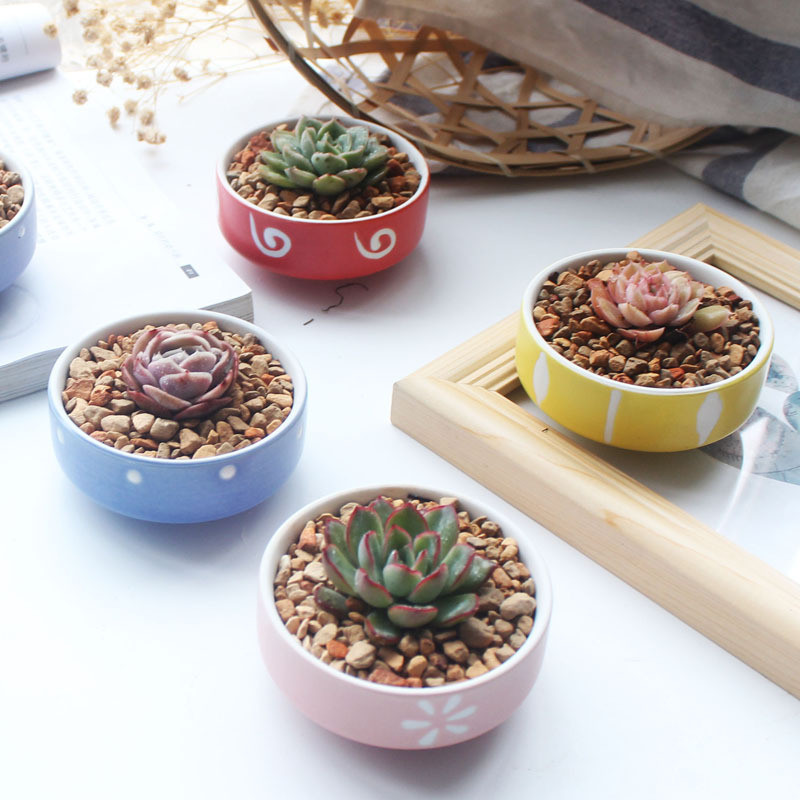 Candy Color zamatos ültetőgépek Kis aranyos kerámia kaktusz edények vízelvezető lyukkal otthoni irodai asztali kerti dekorációhoz