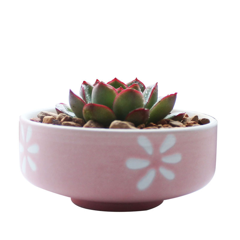 Candy Color zamatos ültetőgépek Kis aranyos kerámia kaktusz edények vízelvezető lyukkal otthoni irodai asztali kerti dekorációhoz