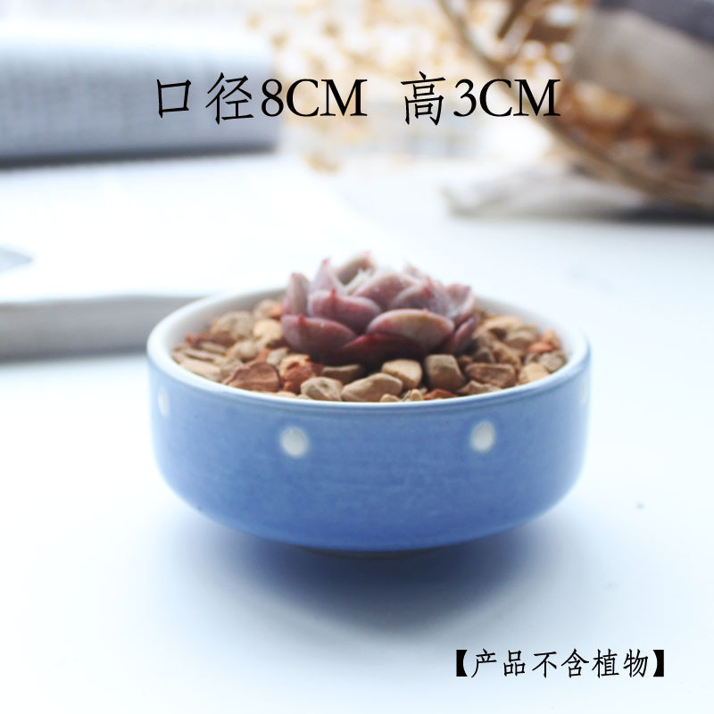 Candy Color zamatos ültetőgépek Kis aranyos kerámia kaktusz edények vízelvezető lyukkal otthoni irodai asztali kerti dekorációhoz