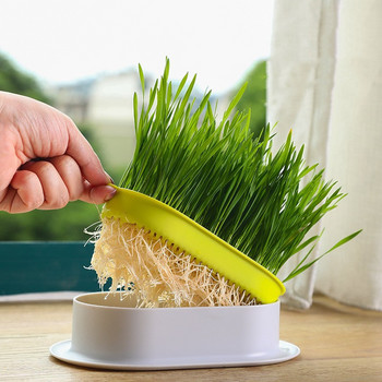 1 комплект Pet Cat Sprout Dish Саксия за отглеждане на Хидропонно растение Котешка трева Покълване Стартер за храносмилане Оранжерия Кутия за отглеждане