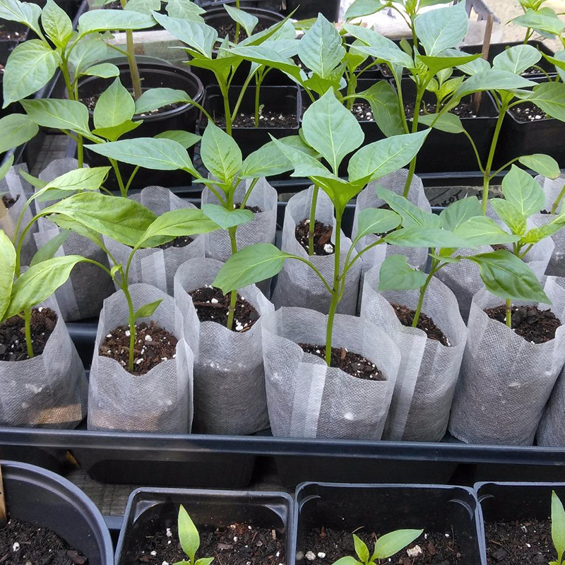 25-100 db Biológiailag lebomló óvodai táska Nem szőtt szövet vetőtáskák Növénytermesztő táskák Kerti virágcserepek Otthoni dekorációhoz Ültetőtáska