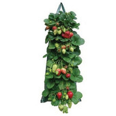 Függő ültető táskák Epertermesztő zsákok Növénytermesztő zsákok fogantyúkkal Légáteresztő, vastagított kerti edények zöldségekhez