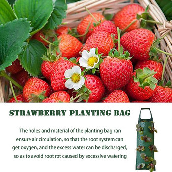 Κρεμαστές σακούλες καλλιέργειας φράουλας Τσάντα καλλιέργειας φράουλα Τσάντες καλλιέργειας φυτών με λαβές Αναπνεύσιμες παχύρρευστες γλάστρες κηπουρικής για λαχανικά