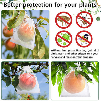 50 τμχ Τσάντες προστασίας φρούτων Φρούτα προστατευτικό κάλυμμα τσάντα διχτυωτών τσάντες πλέγματος πουλιών για μήλα Τσάντες καλλιέργειας σταφυλιών Θερμοκήπιο οπωρώνων