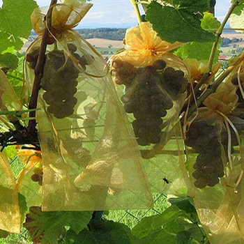 50 τμχ Τσάντες προστασίας φρούτων Φρούτα προστατευτικό κάλυμμα τσάντα διχτυωτών τσάντες πλέγματος πουλιών για μήλα Τσάντες καλλιέργειας σταφυλιών Θερμοκήπιο οπωρώνων