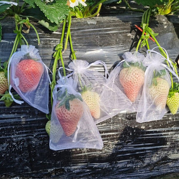 50 БР. Чанти за защита на плодове Плодове Бариерно покритие Мрежена торба Мрежести торби против птици за ябълки Грозде Чанти за отглеждане Овощна градина Оранжерия