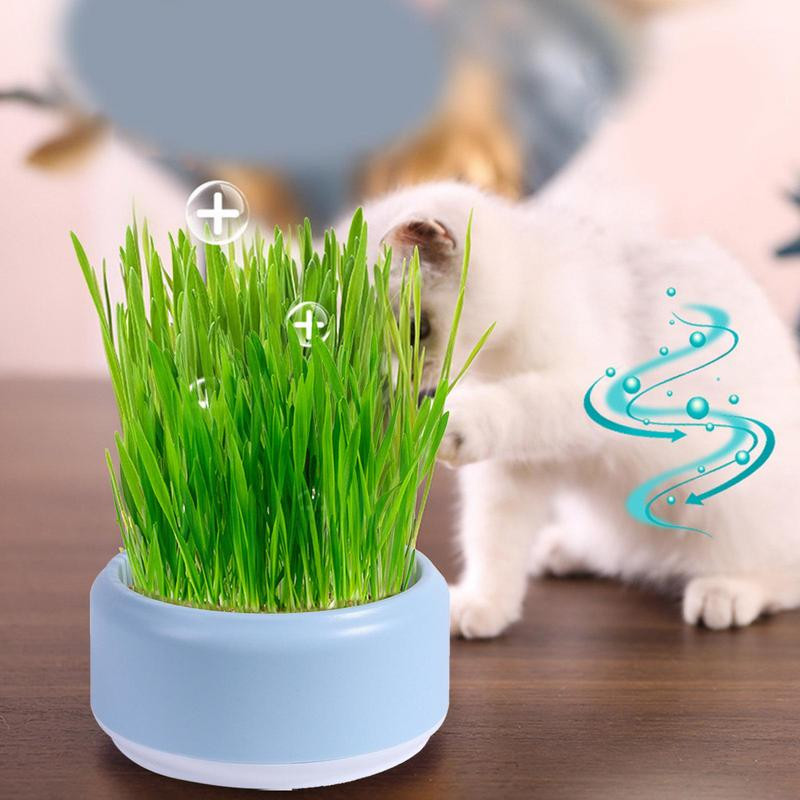 Macskafűvető cserep macskafűtermesztő készlet Macskafalat menta ültetés Réteges hidroponikus macskafűdoboz Biztonságos kisállat csíráztató edény