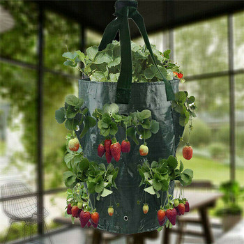 3 γαλόνια 10 τσέπες Φυτο κρεμαστή θήκη Κήπος Φράουλα Λαχανικά Grow Τσάντα Φρούτα φυτευτή Πλαστική γλάστρα Διακόσμηση δοχείου