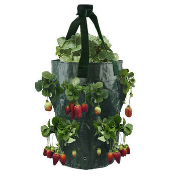 3 γαλόνια 10 τσέπες Φυτο κρεμαστή θήκη Κήπος Φράουλα Λαχανικά Grow Τσάντα Φρούτα φυτευτή Πλαστική γλάστρα Διακόσμηση δοχείου