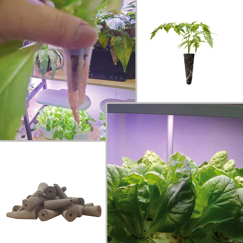 Grow szivacsok az Aerogardenhez, környezetbarát növénytermesztő dugók Szivacsok hidroponikus növények növekedéséhez, 50 db-os csomag