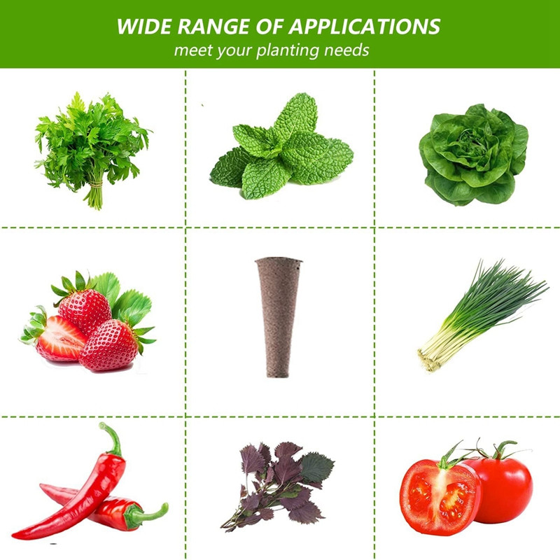 Grow szivacsok az Aerogardenhez, környezetbarát növénytermesztő dugók Szivacsok hidroponikus növények növekedéséhez, 50 db-os csomag