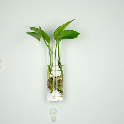 Kūrybinė pakabinama stiklinė vaza hidroponinė augalų vaza sienelė žuvų rezervuaras akvariumo konteineris gėlių vazonas Namų dekoras