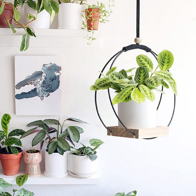 1db Növények függő virágcserepes növény cseréptartó Jó teherbírású, nagy szilárdságú, sima él Egyszerű stílus Könnyen felszerelhető beltéren