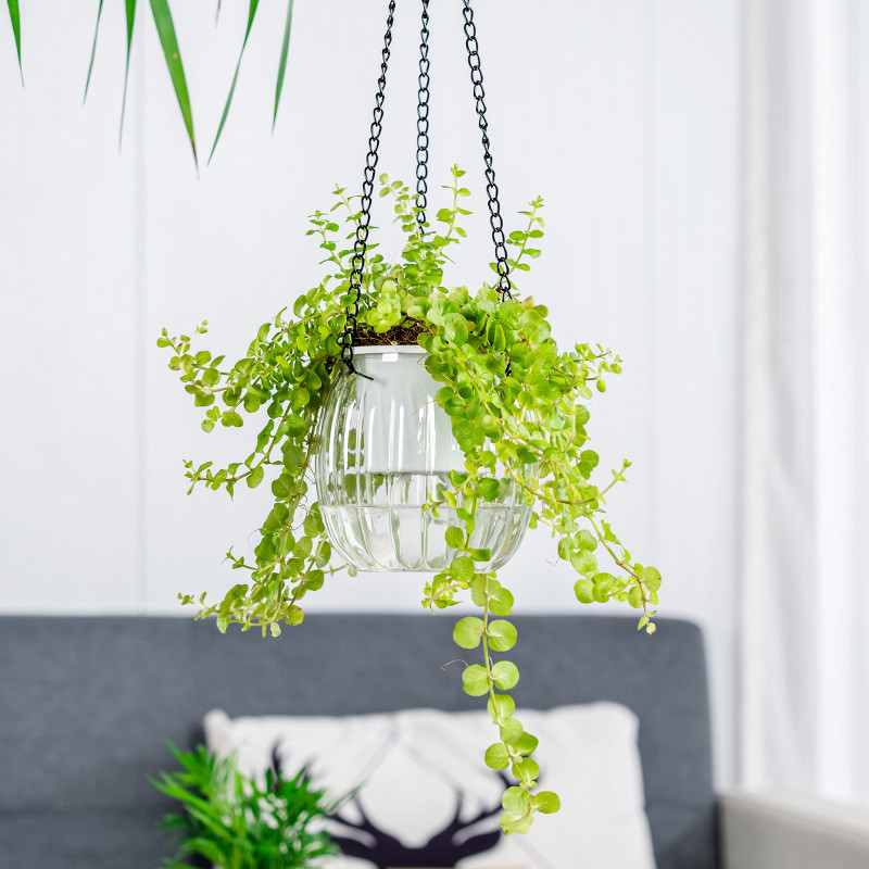 1db átlátszó önöntöző ültető növény virágcserép erkély otthon hidroponikus virágcserép függő kosár lusta