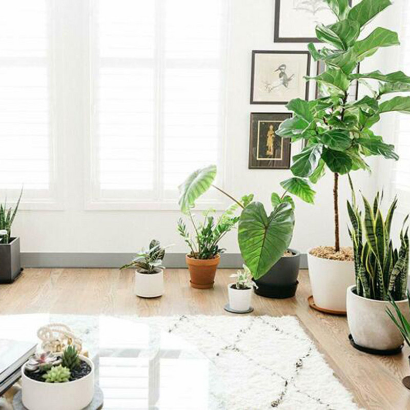 10db kerti növény csészealj csepegtető tálca gyanta műanyag virágcserep Kerti növény virágcserép otthoni kert dekoráció átlátszó snack tároló PET