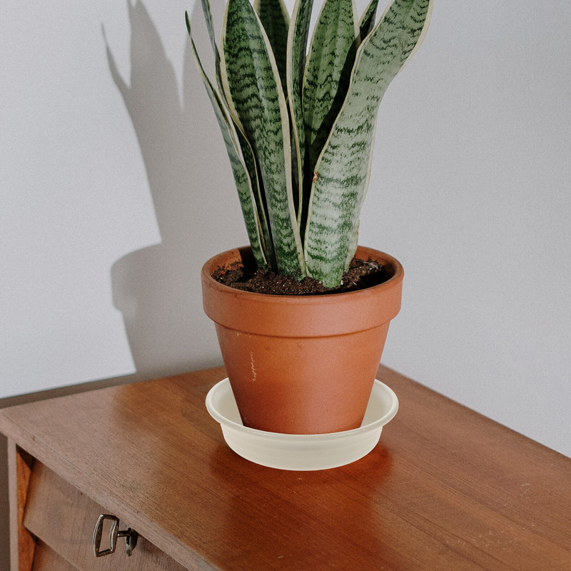 Alsó tányértálca Tálcák Beltéri, Lyuk nélkül Edények Csészealj Cserepes vízelvezető Páratartalom növények