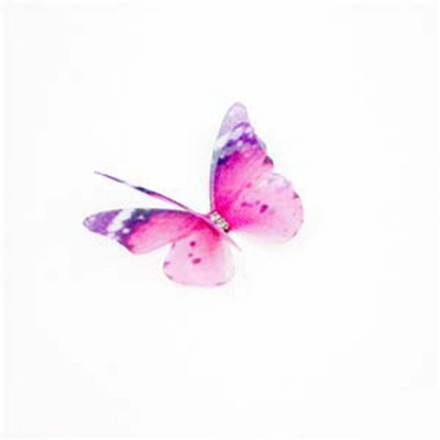 3D organza liblikas pulmade siidist liblikas kivist DIY ehete valmistamine kõrvarõngaste meisterdamine peokaunistus õmblustarbed käsitöö