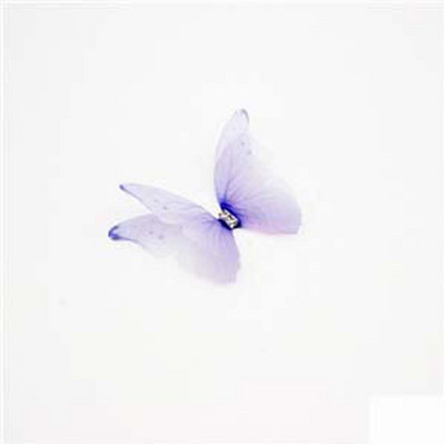 3D organza liblikas pulmade siidist liblikas kivist DIY ehete valmistamine kõrvarõngaste meisterdamine peokaunistus õmblustarbed käsitöö