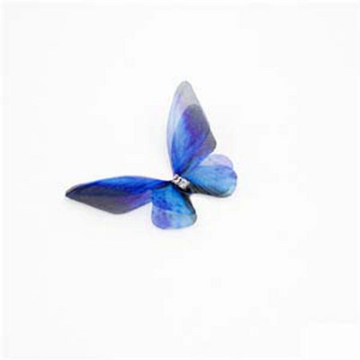 3D organza liblikas pulmade siidist liblikas kivist DIY ehete valmistamine kõrvarõngaste meisterdamine peokaunistus õmblustarbed käsitöö