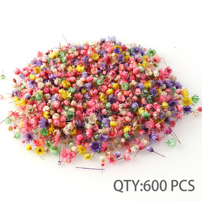 100-600 gabali, dekoratīvi kaltēti ziedi, mini zvaigznes pušķis, dabīgs nagu mākslas epoksīda sveķu pildījums mājas dekorēšanai