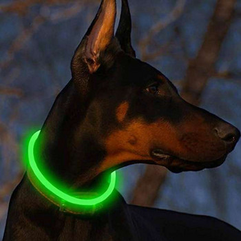 USB зареждане Светеща нашийник за кучета Led Нощна светеща батерия Предотвратяване на загубата на кучета Аксесоари за кученца Консумативи Статии за домашни любимци