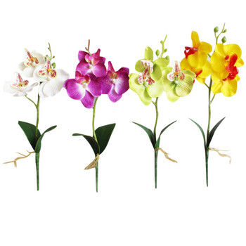 Creative Flowers Fancy Four Butterfly Orchid Meaty Plant Bonsai Flower Arranting Αξεσουάρ SP99