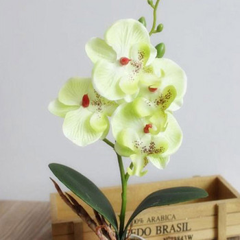 Creative Flowers Fancy Four Butterfly Orchid Meaty Plant Bonsai Flower Arranting Αξεσουάρ SP99