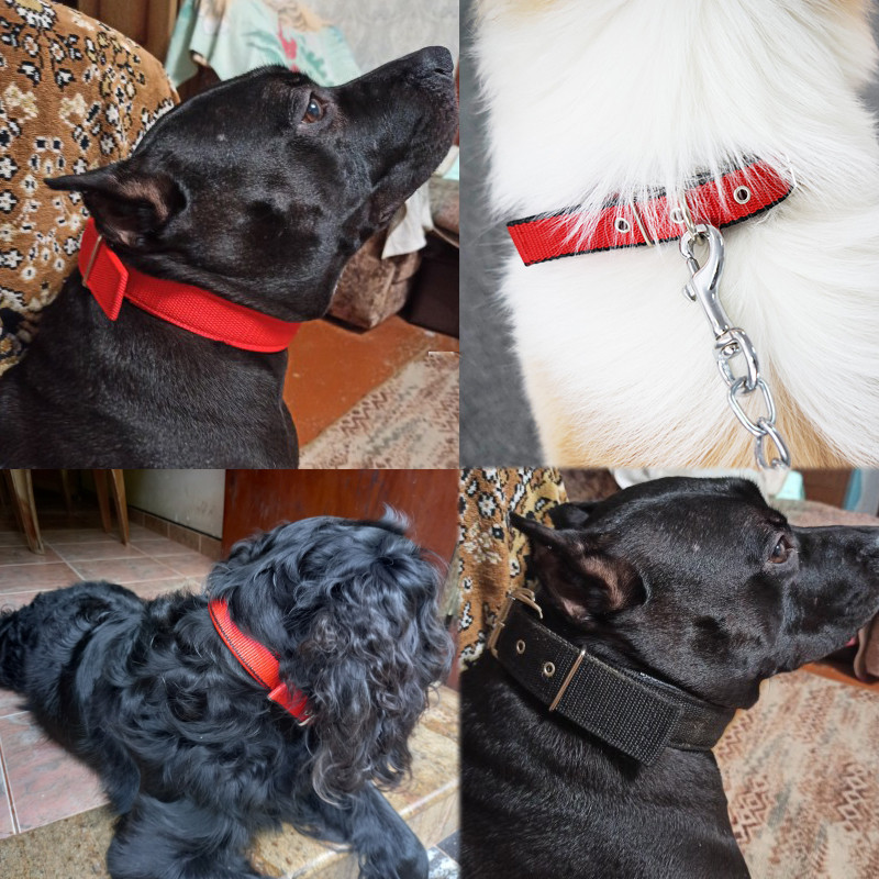 Suņu kaklasiksnas Neilona suņu kaklasiksna maziem vidēji lieliem suņiem Tedijs Kedži Pitbull Bulldog Bīgls Mājdzīvnieku produkti