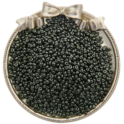 1000Gb 3mm Pērļu krāsas krāsas efekta stikla sēklu krelles DIY apģērbu šūšanai rotaslietas izgatavošanai franču izšūšanas amatniecības piederumi 30g