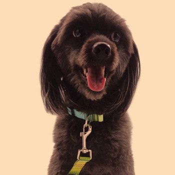 10 стила Бохемски нашийници за кучета SL Fashion Издръжливи нашийници за кучета Висококачествени изискани Boho консумативи за домашни любимци Аксесоари