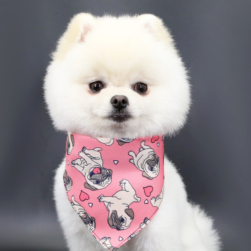 Suņu mīļā kakla siksna Siekalu dvielis Suņa kaķa apdruka ar priekšautiņu kucēns kaķēns Trīsstūrveida šalle piekarināma sprādze Modes kaķēnu šalle mājdzīvnieks Aksesuāri