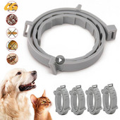 Разтегателен нашийник против бълхи за домашни любимци Противопаразитно колие до 8 месеца Персонализирано против бълхи и кърлежи за кученца Котка Големи кучета Аксесоар