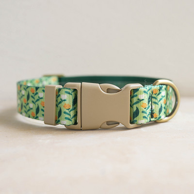 Personalizēta suņu kakla siksna, pielāgota iegravēta vārda ID, regulējama neilona kucēnu kaklasiksna Čivavas mopsis Maza, vidēja liela suņu kaklasiksna