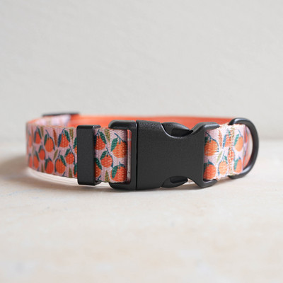 Personalizēta suņu kakla siksna, pielāgota iegravēta vārda ID, regulējama neilona kucēnu kaklasiksna Čivavas mopsis Maza, vidēja liela suņu kaklasiksna