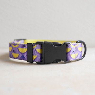 Personalizēta suņu kakla siksna, pielāgota iegravēta vārda ID, regulējama neilona kucēnu kaklasiksna Čivavas mopsis Maza, vidēja liela suņu kaklasiksna