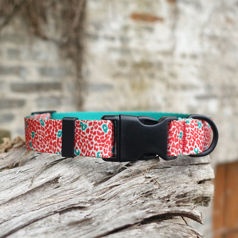 Personalizēta suņu kakla siksna, pielāgota iegravēta vārda ID, regulējama neilona kucēnu kaklasiksna Čivavas mopsis Maza, vidēja liela suņu kaklasiksna