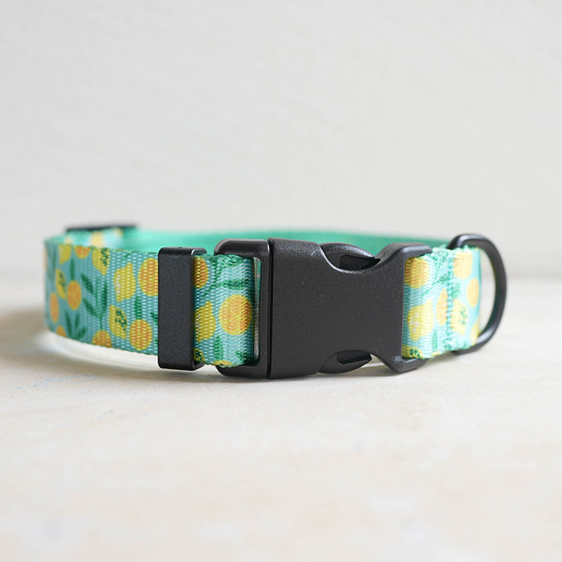 Personalizēta suņu kakla siksna, pielāgota iegravēta vārda ID, regulējama neilona kucēnu kaklasiksna Čivavas mopsis Maza, vidēja liela suņu kaklasiksna